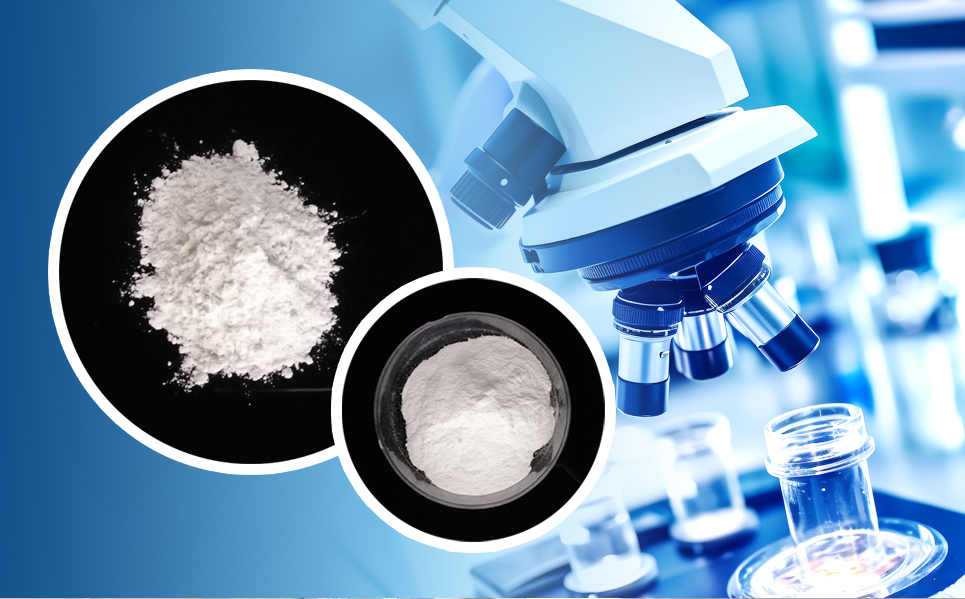 ���Ǽ��š�AG88(�й���)�ٷ���վ