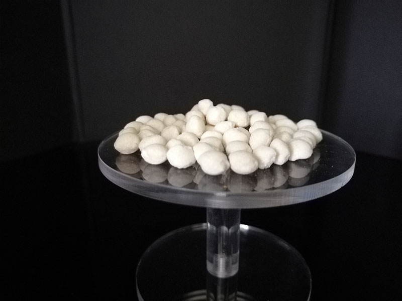 ��ѩ������