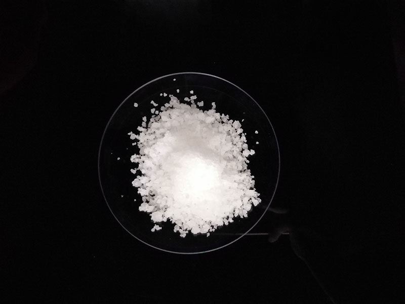 ��ѩ������