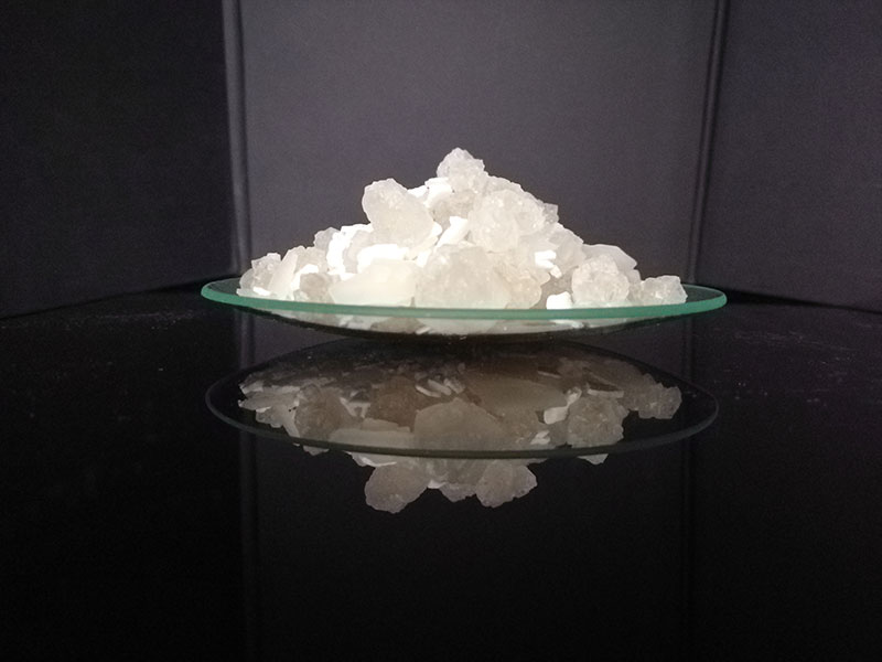 ��ѩ������