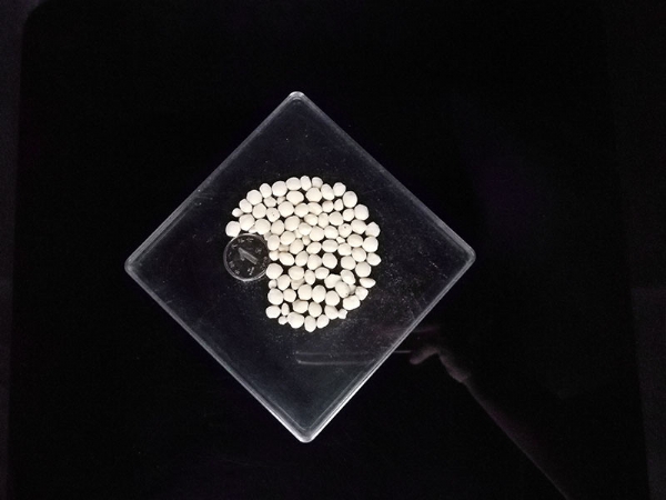 ��ѩ������5