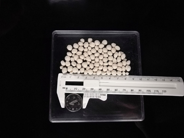 ��ѩ������6