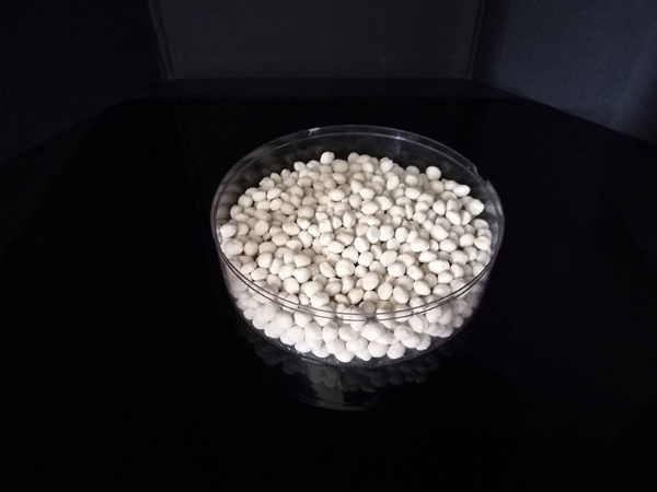 ��ѩ������9