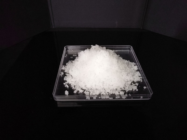 ��ѩ������