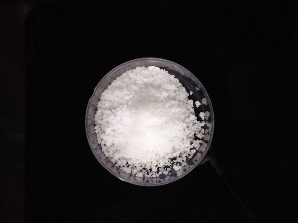 ��ѩ������