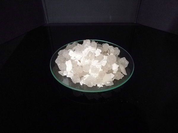 ��ѩ������