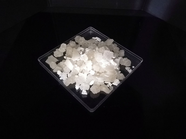 ��ѩ������