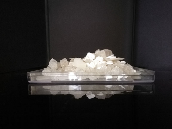 ��ѩ������