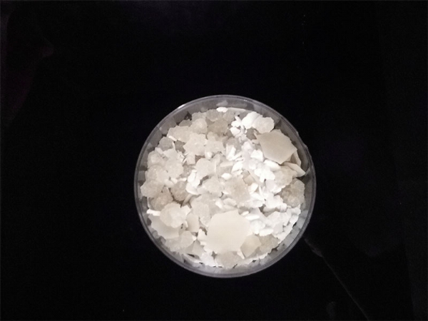 ��ѩ������